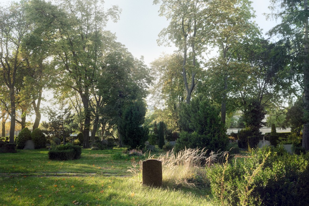 Ein schöner Friedhof mit hohen Bäumen an dem die neue Erde eingebracht werden könnte
