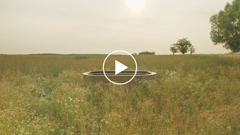 Coverbild Erfahrungen von begleitenden Bestatterinnen