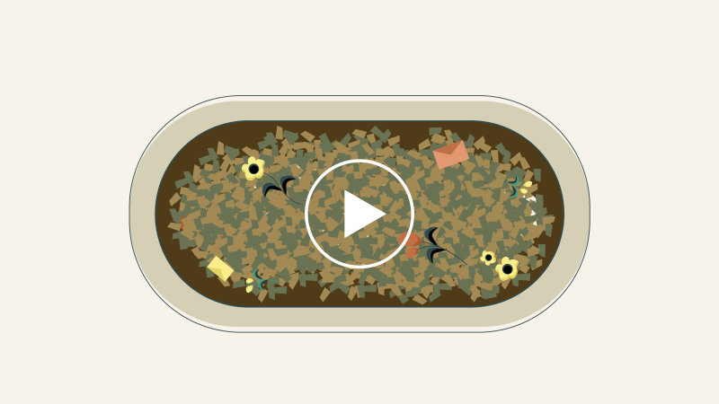 Animation vom Kokon mit Substrat